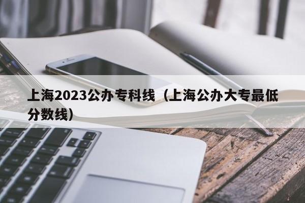 上海2023公办专科线（上海公办大专最低分数线）